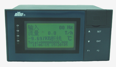 DY21LJR DY2000（LJR）液晶显示流量积算SD卡数据存储仪表